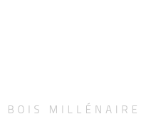 ILIRICA - Logo